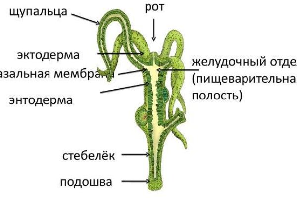 Оригинальная ссылка на кракен