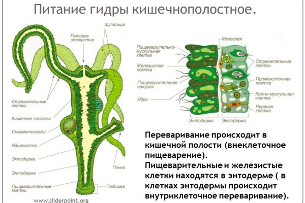 Кракен маркет даркент только через тор